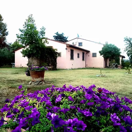 Cortona Holiday Home 펜션