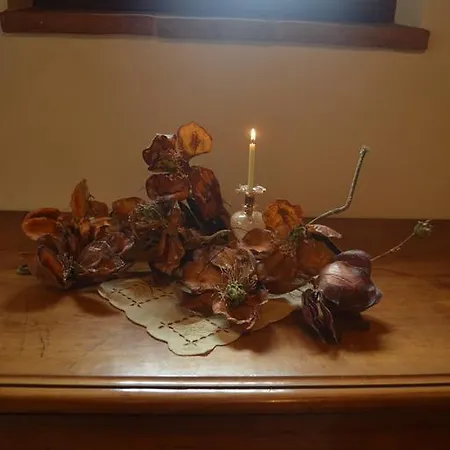 Cortona Holiday Home Casa vacanze Cortona
