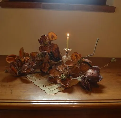 Cortona Holiday Home Ferienhaus Cortona