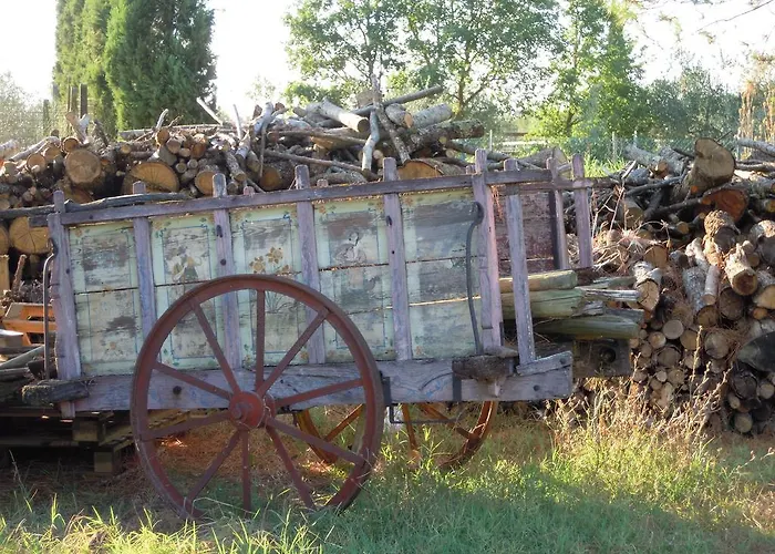 Dom wakacyjny Cortona Holiday Home Cortona